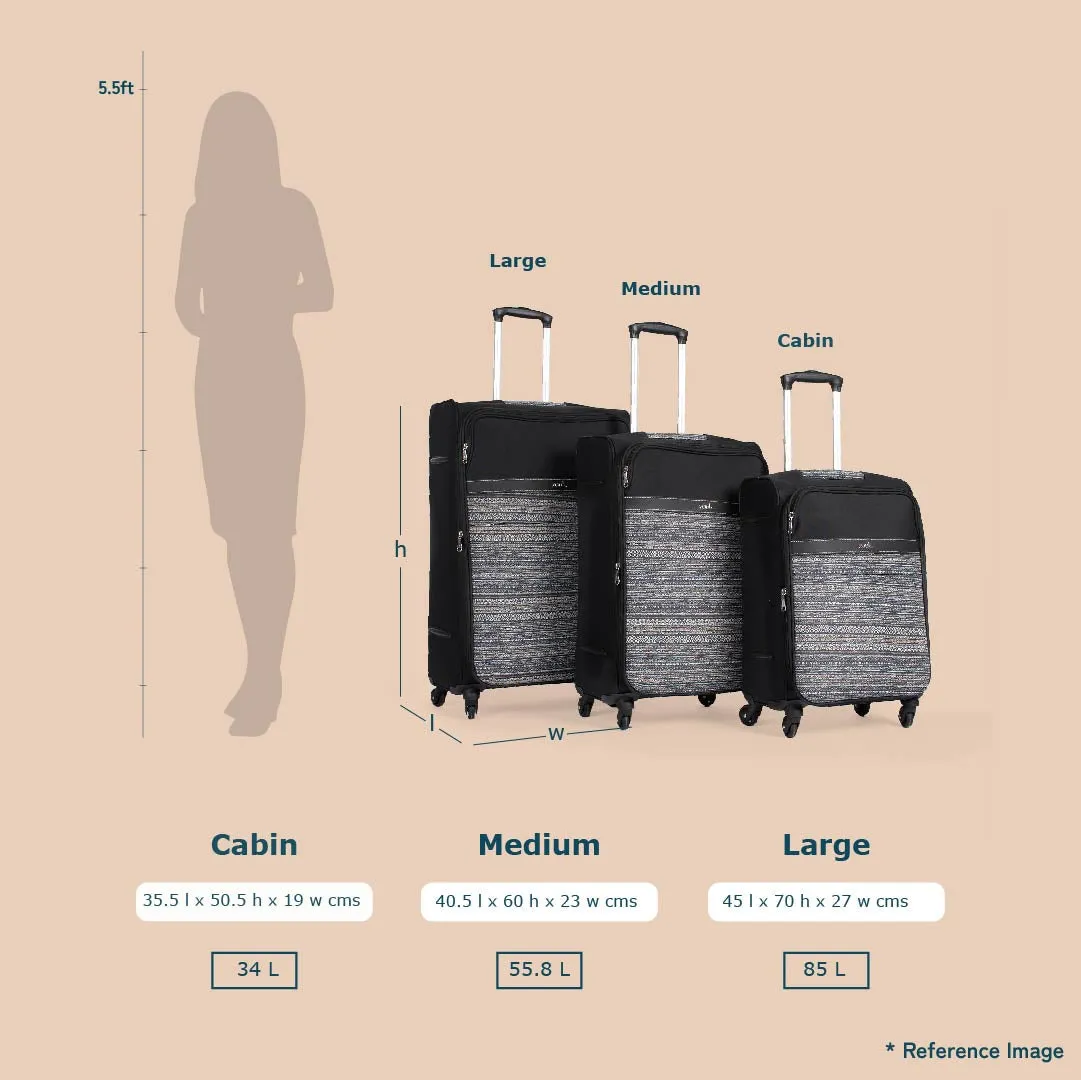 Periyar Waves Avasa Trolley Bag (Black)